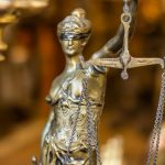 What Is the Difference Between Law and Political Science?