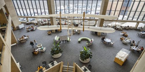 The importance of university libraries and their functions