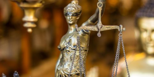 What Is the Difference Between Law and Political Science?