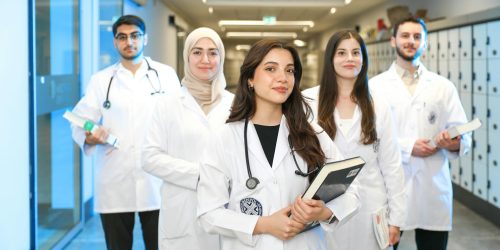 What Is the Difference Between Medicine and Dentistry?